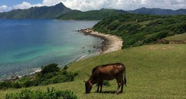 What to do Coronavirus Tap Mun Island Hong Kong
