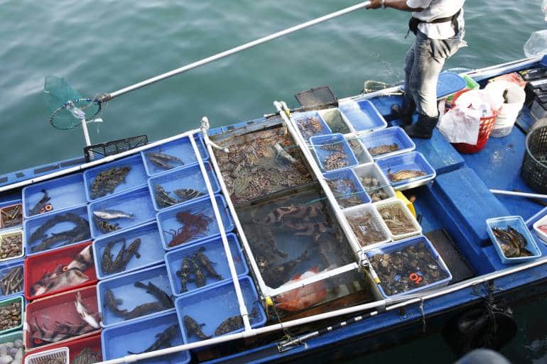 Seafood Floating Market at Sai Kung